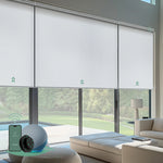 Motorized coupled roller shades with white fabric